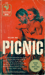 Picnic Play